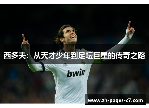 西多夫：从天才少年到足坛巨星的传奇之路