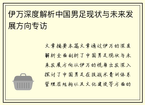 伊万深度解析中国男足现状与未来发展方向专访