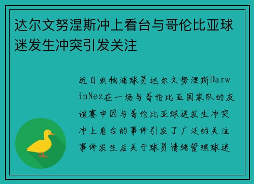 达尔文努涅斯冲上看台与哥伦比亚球迷发生冲突引发关注 达尔文努涅斯冲上看台与哥伦比亚球迷发生冲突引发关注